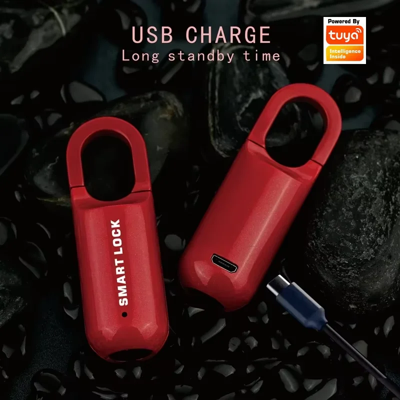 Tuya Biometric Electronic Lock Fingerprint Locks Padlock Keyless USB Rechargeable Anti-theft Handbag Security Protection
