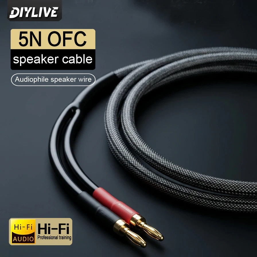 5N High Purity Copper Fever Grade HIFI Speaker Cable Main and Secondary Speakers Surround Power Amplifier Computer Audio Cable