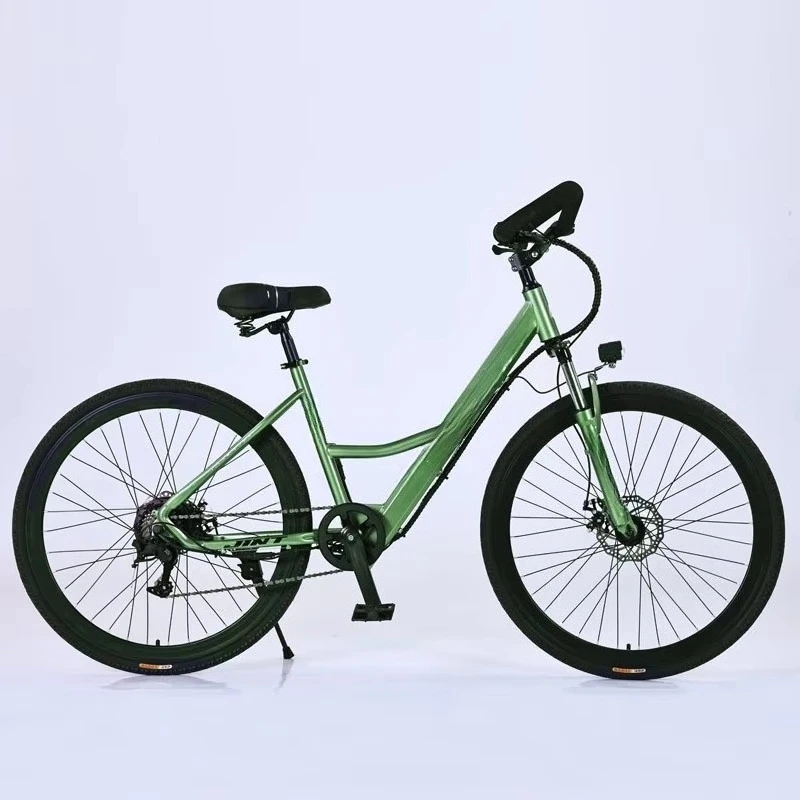BR Factory Wholesale JINT Built-in Lithium-Battery Disc Brake Bicycle Variable Gears Electric Assist Shock Absorption Commuting
