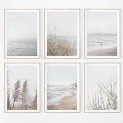 Coastal Beach Plant Nordic Poster And Prints Wall Art Canvas Room Decoration Posters And Prints Living Room Sheets For Paintings