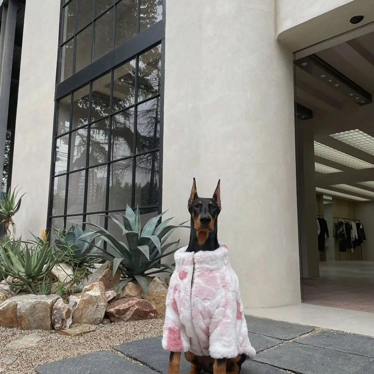 

Large Dogs Clothes For Winter Warm Plush Pet Coat Big Dogs Jacket Labrador Golden Retriever Warm Thicken Jacket Fashion Clothes