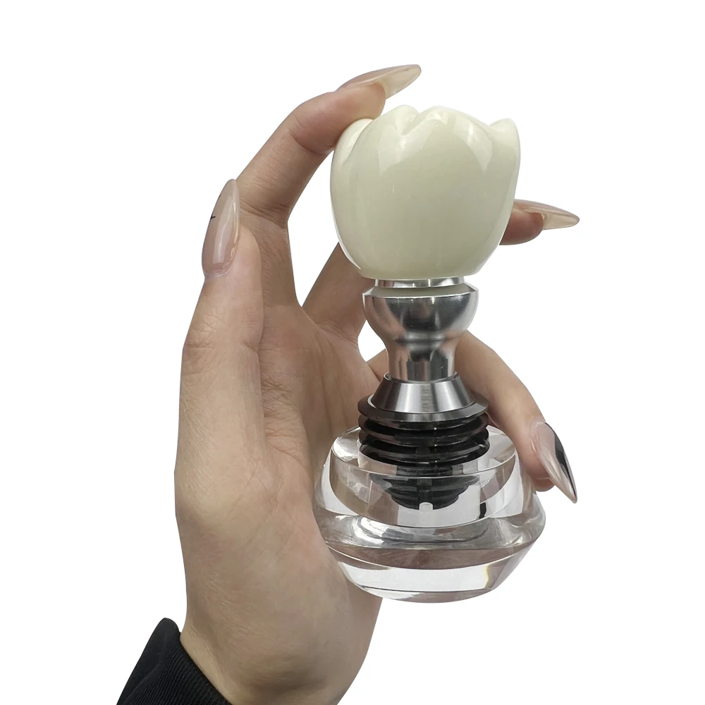 

Dental Removable Crystal Implant Disease Crown Model for Medical Student Teaching Research Demonstration Practice Model