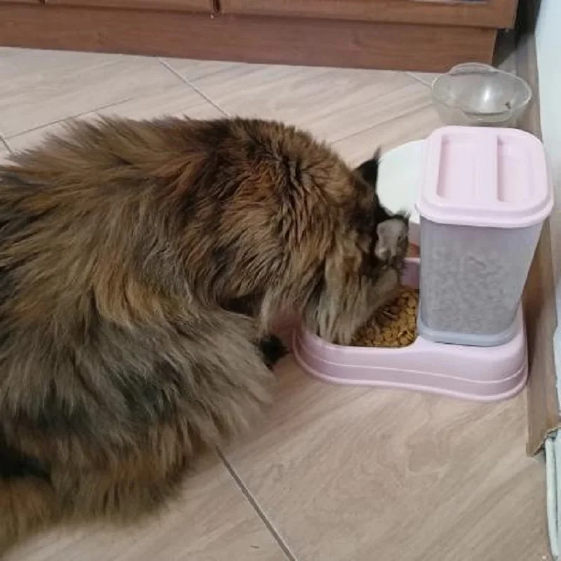 Cat Pet Automatic Feeder Drinking Bowl Large Capacity Dog Combination Grain Storage Bucket Pet Feeding Bowl Pet Supplies