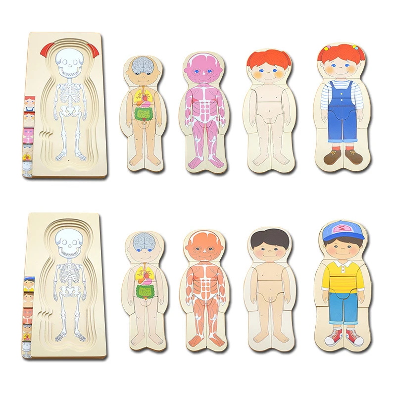 Montessori Wooden Multi-layer Puzzle Human Body Jigsaw Game Boys Girls Body Structure Early Educational Toys For Children Kids