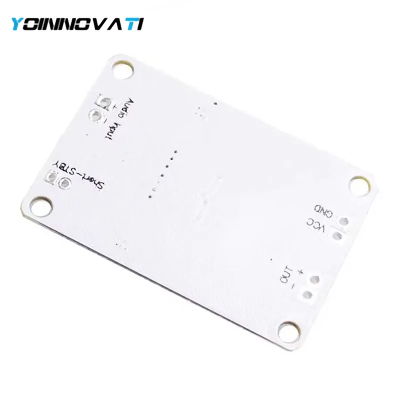 YT TPA3110 PBTL Mono Digital Amplifier Board 30W Class D Audio Module for DIY Speaker System