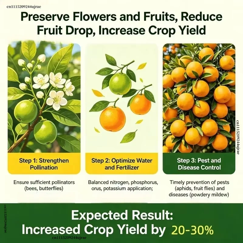 6-BA Powder 6-Benzylaminopurine Cytokinin Plant Growth Regulator Promote Germination Cell Division Garden Farm Use