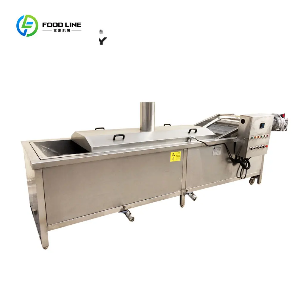 FOODLINE Customized Industrial Blanching Machine Food French Fries Blanching Machine Fruit and Vegetable Blanching Equipment