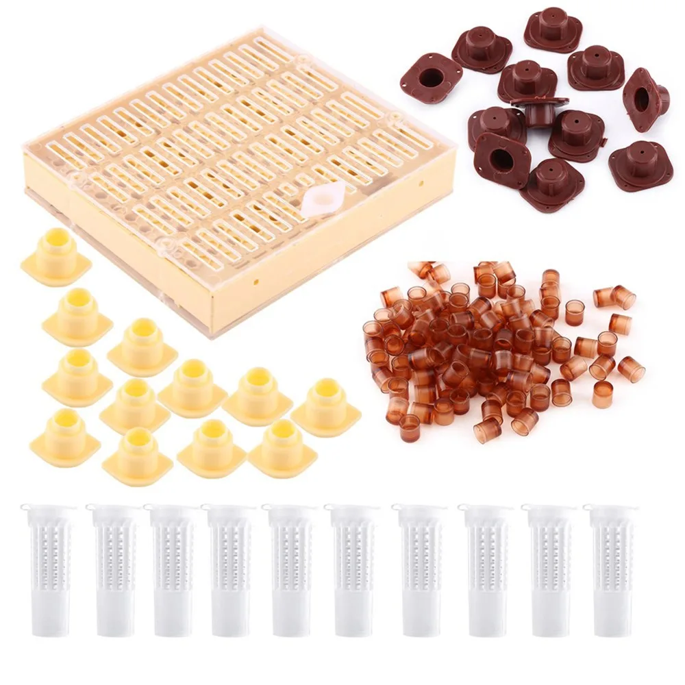 110 Cell Cups Queen Rearing Kit Plastic Material Hair Roller Design Queen Rearing Cups Apiculture Grade Beginner Friendly