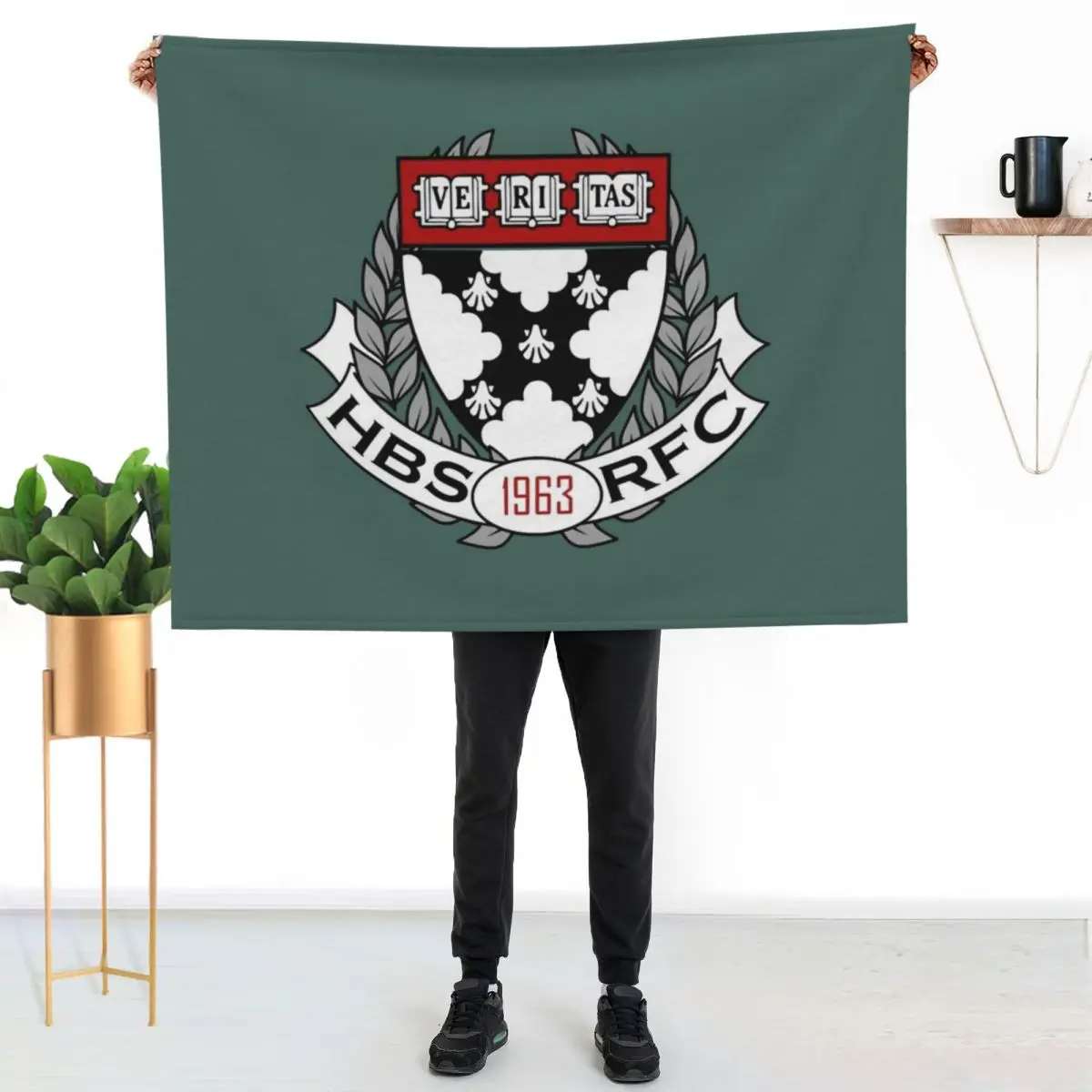 harvard business school Throw Blanket Wrinkle Resistant Lightweight Blanket