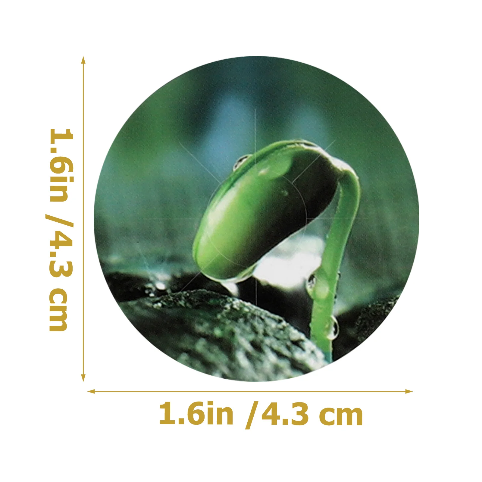 ملصقات وعاء البذور البلاستيكية المتينة المقاومة للماء 5 أوراق سهلة العصا ملصقات بمناسبة النباتات أدوات البستنة المائية وعاء البذور ملصقات PVC