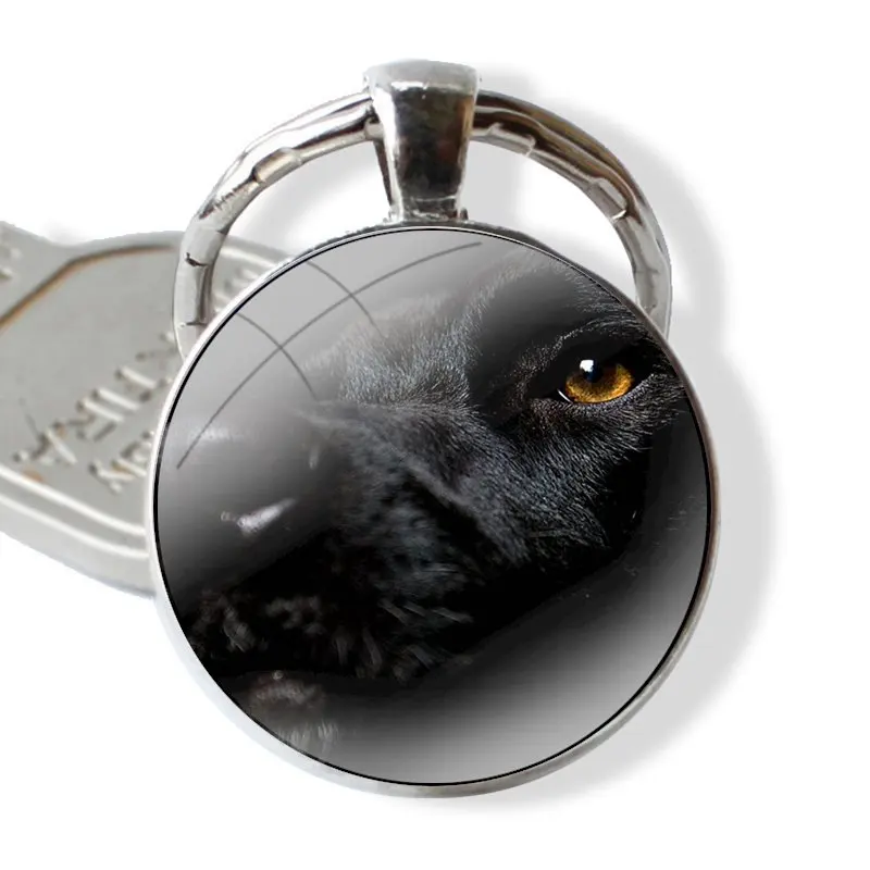 hello Black Lab Labrador puppy Dog 25mm Glass Cabohcon Keychain Key Rings for Women Men Jewelry Gift