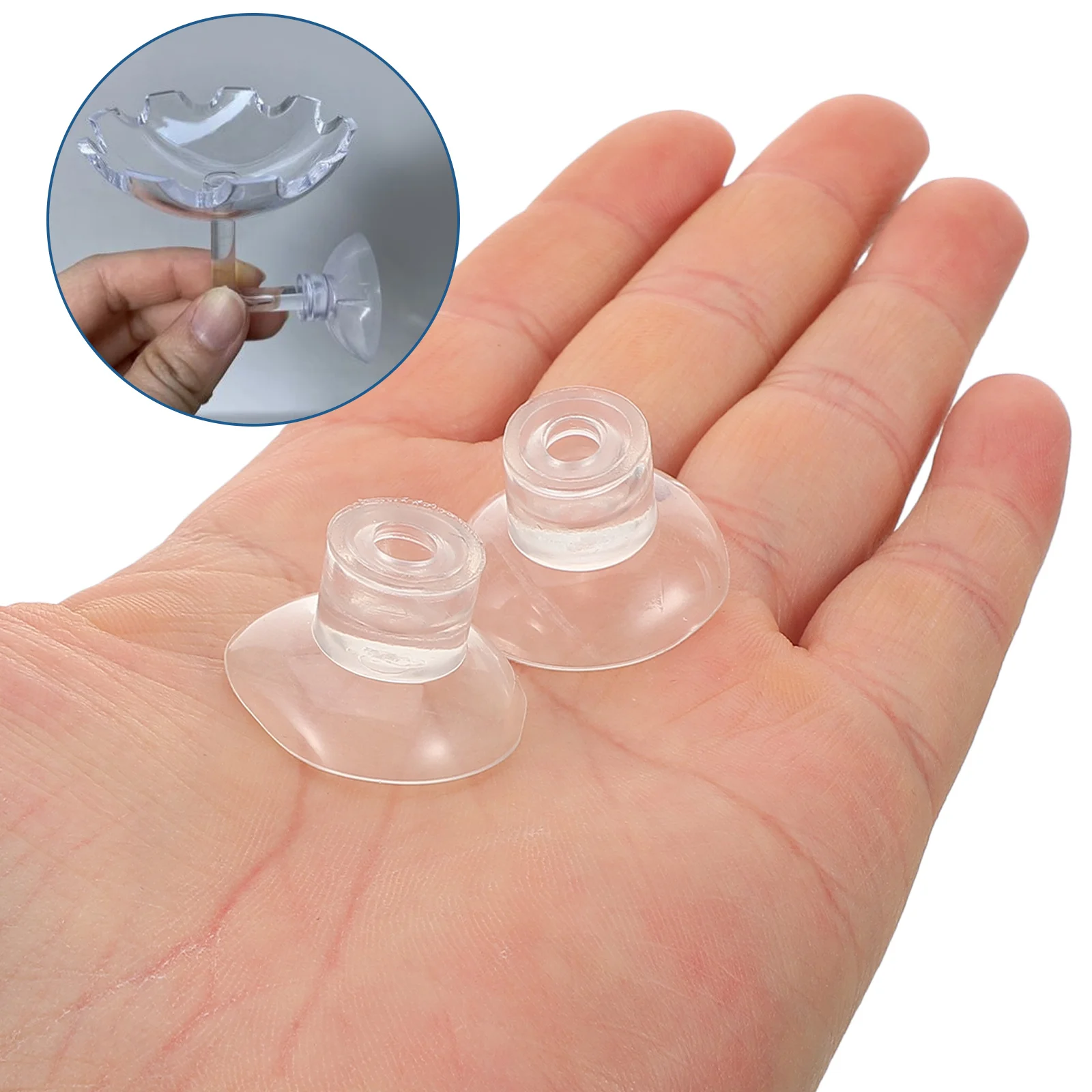 

50Pcs Aquarium Feeder Suction Cup Holder Transparent Fish Tank Suction Cups for Secure Feeder Fixing and Aquarium Accessories