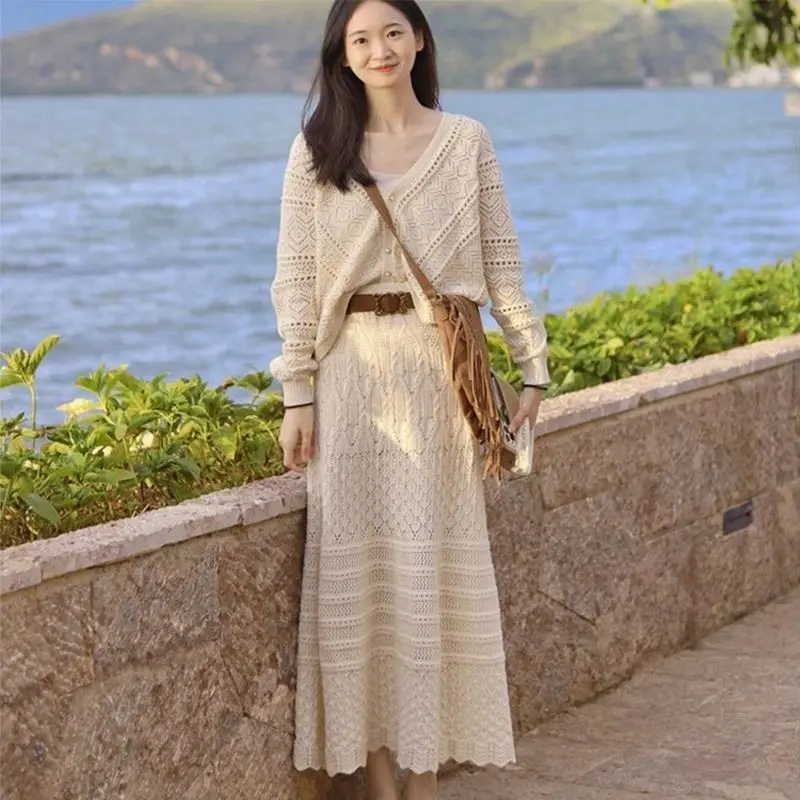 French Style Fashion Hollow Knitting Set 2024 New High-end Temperament Socialite Skirt Set with Lining