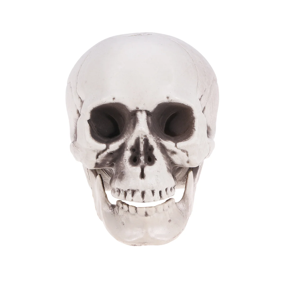 

Halloween Plastic Simulation Skull Decoration Human Skull for Horror Bar Ktv Haunted House Halloween Party Props