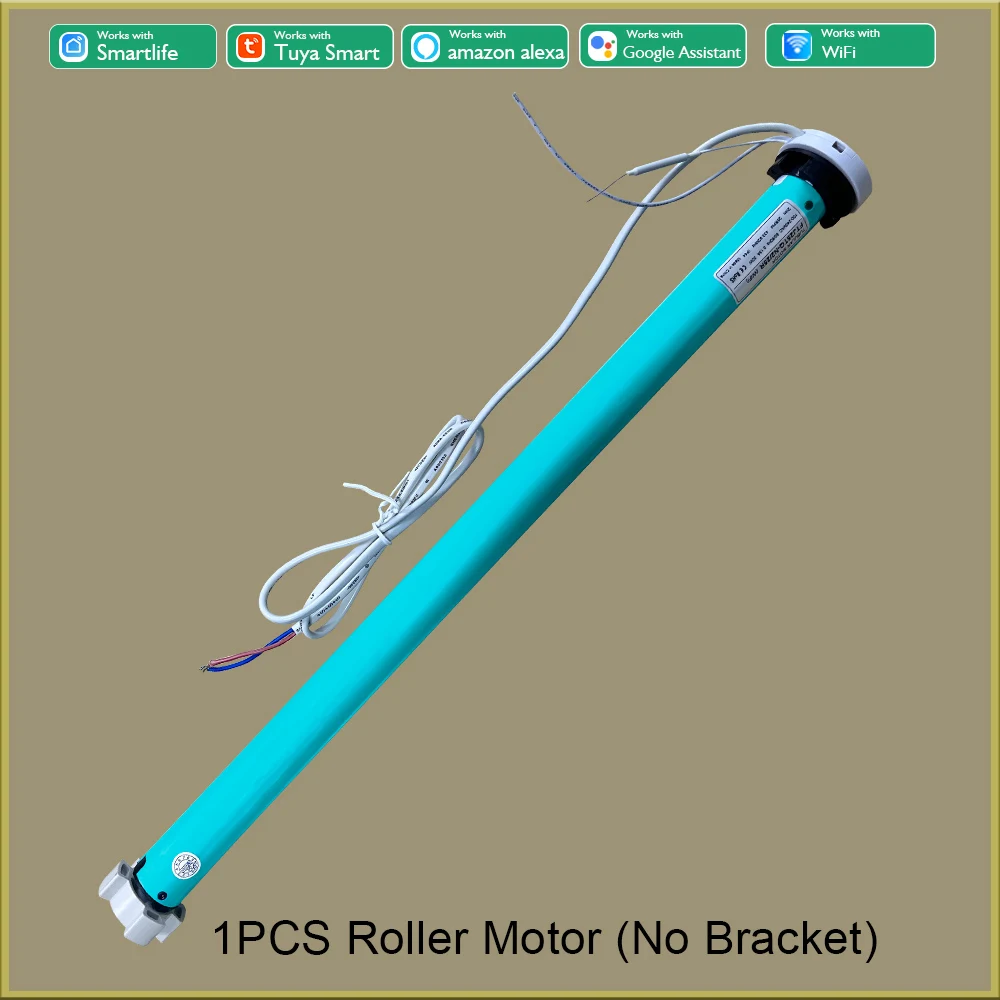 1 Motor (No Bracket)