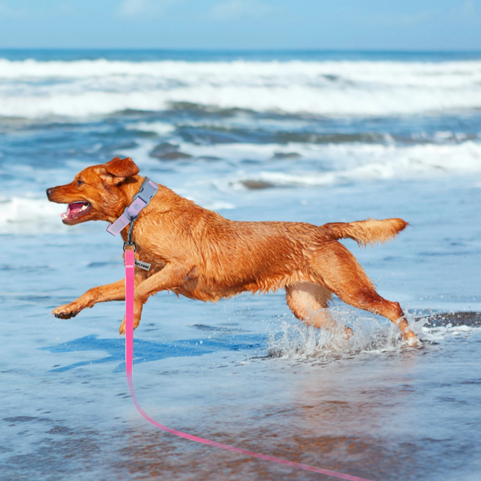 PVC Lange Hundeleine 1,5m 3m 6m Robustes Trainingsseil für Kleine und Große Hunde Langlebig, Wasserdicht Hundezubehör – Detail 9