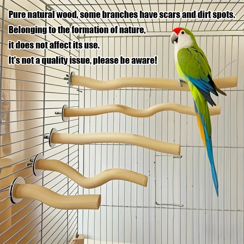 Natural Parrot Wood Fork Branch Perch Image 1