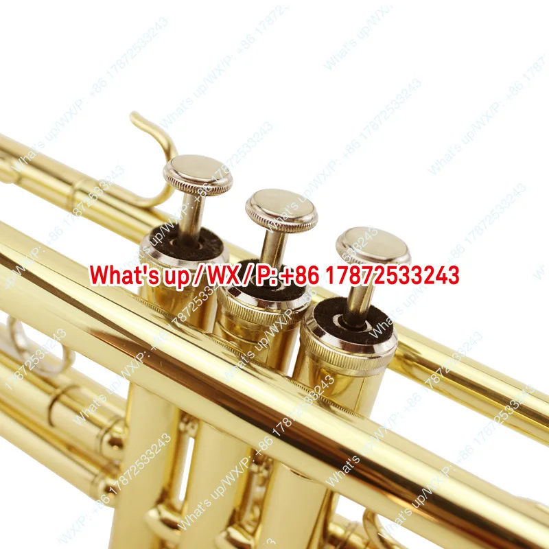 Beginner's entry-level trumpet instrument MTR-100 with B-tone reduction