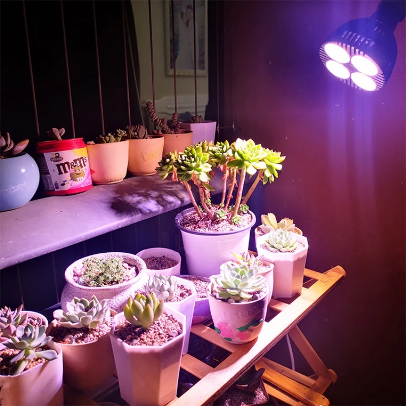 Full spectrum plant lamp fill lights vegetable flowers green plant lamp spot light fish tank algae light LED plant growth lamp