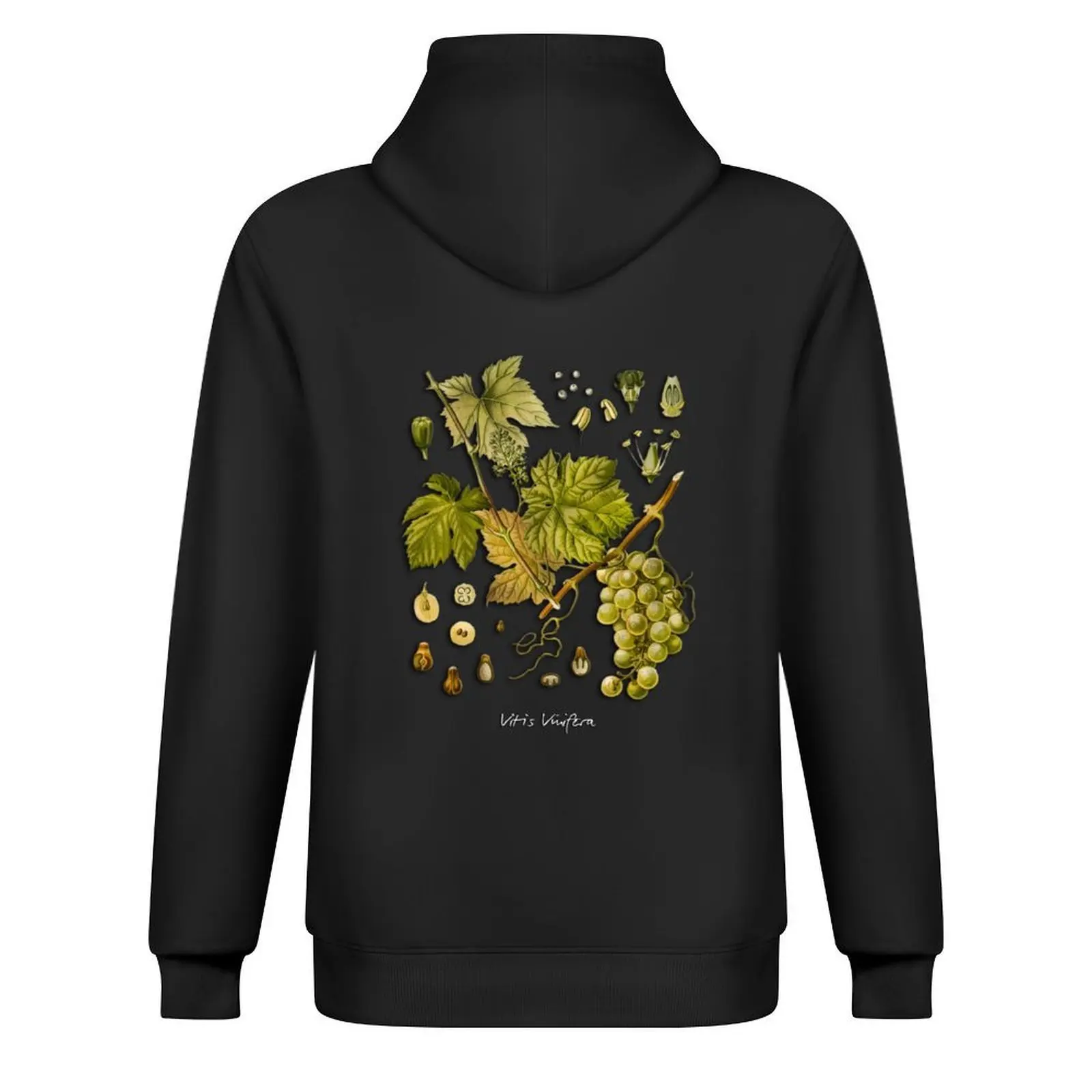 Vitis vinifera ملابس رجالية بغطاء للرأس ملابس رجالية على الطراز الياباني ملابس أنيمي بدلة رياضية للرجال