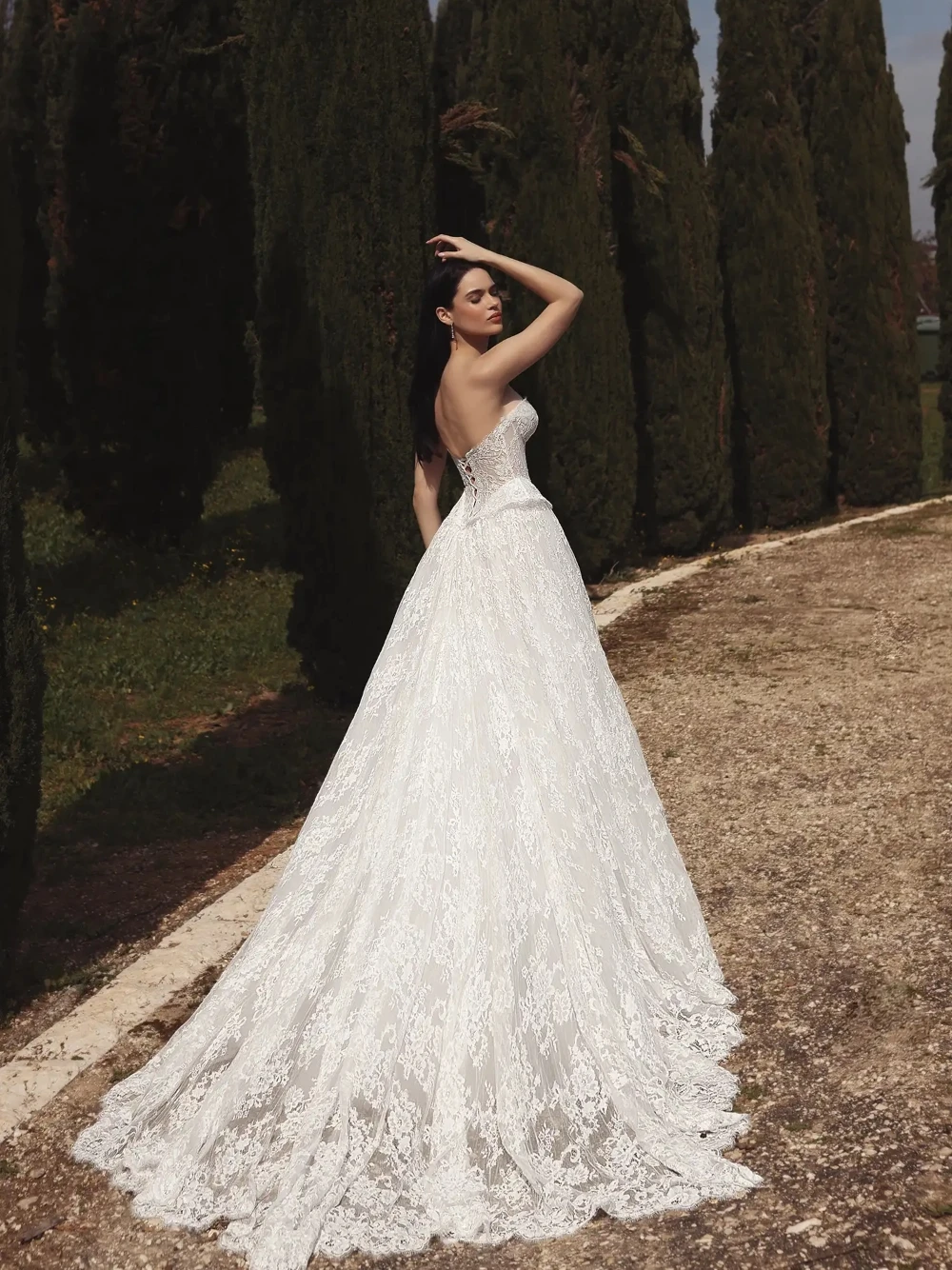 

Fully Lace Wedding Dress For Women, Romantic Sweetheart Neckline Bride Wear, Low Back, Elegant Dreamy Ball Gown Customized