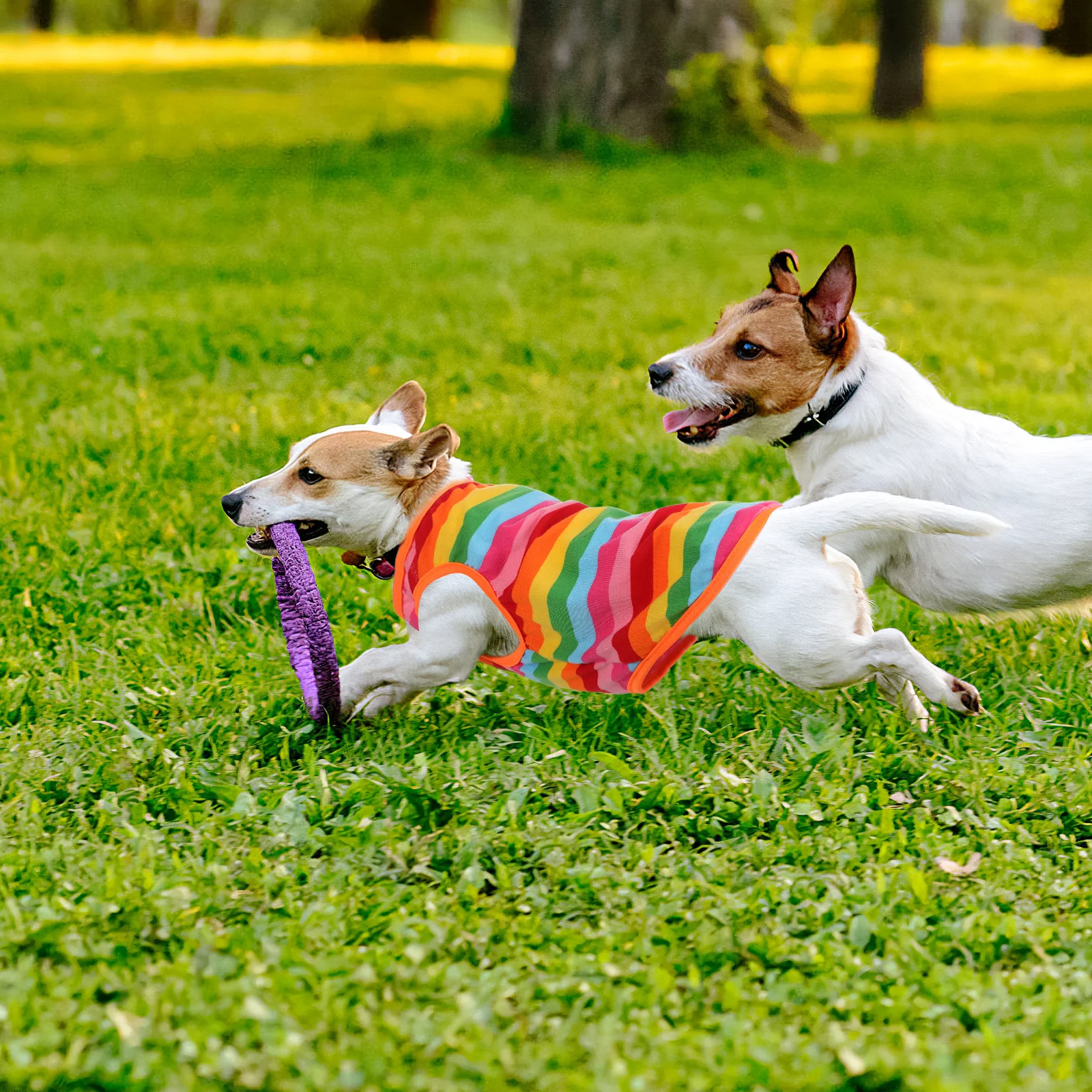 

Vest For Dogs Pet Shirts Summer Outdoor Lightweight Puppy Dog Cloth Clothes Comfortable Dog Waistcoat Size L