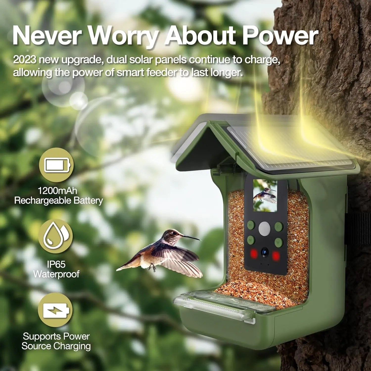 OEM ODM Smart Bird Feeder with Camera Auto Recording Solar Powered 1080p FHD Video WiFi & Microphone