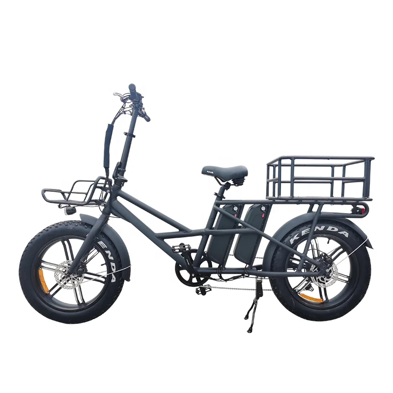 2 Whee Long Tail with Basket Adult City Electric Cargo Bike 20 Inch Fat Tire Ebike 500w 750w E-cargo Family E Bicycle