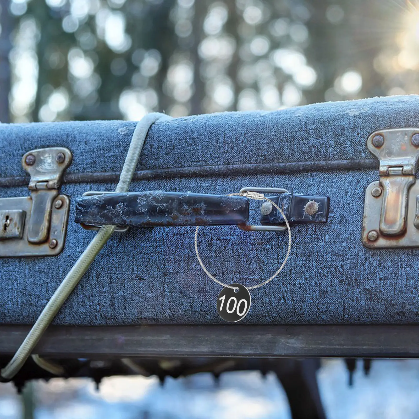 

100 шт. многоразовых пластиковых номерных бирок с отверстиями для маркировки товаров, брелоков, багажа, нумерации столов, использования в супермаркетах и на складах