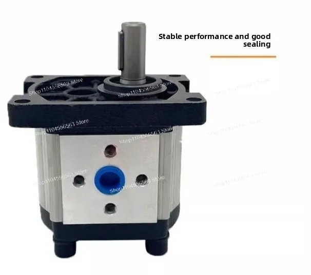 CBN CBT Series Hydraulic Gear Pump F304 to F325, High Flow Industrial Gear Pump for Fluid Power Systems