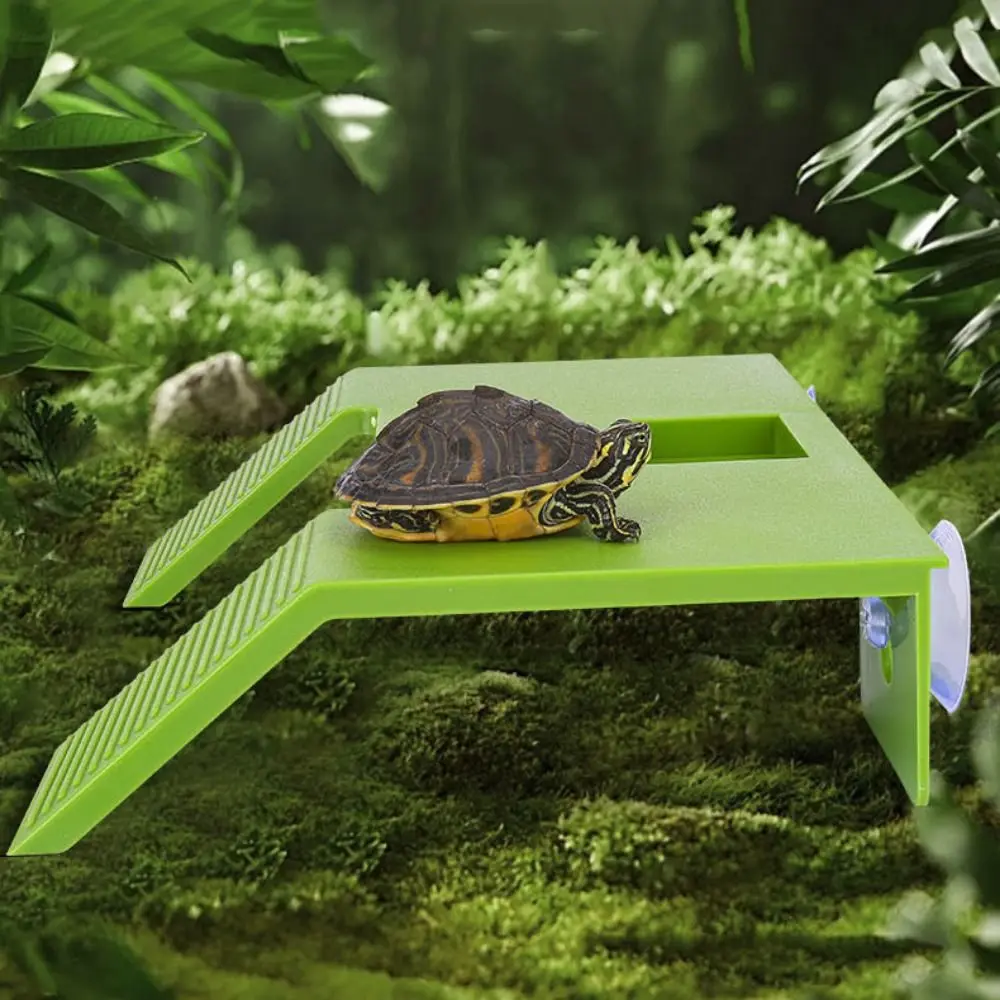 Tortoise Climbing Basking Platform Turtle Tank Floating Basking Platform For Aquatic Turtles Terrace