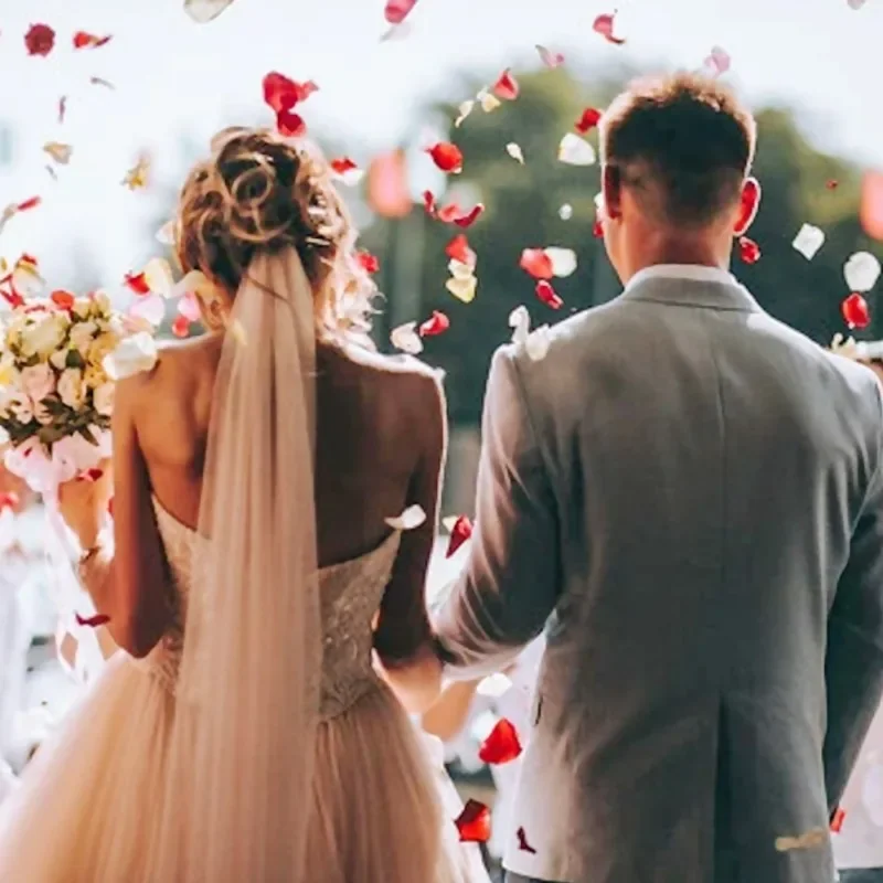 Faux pétales de rose artificiels colorés, 1000 pièces, pour la Saint-Valentin, mariage, décoration romantique