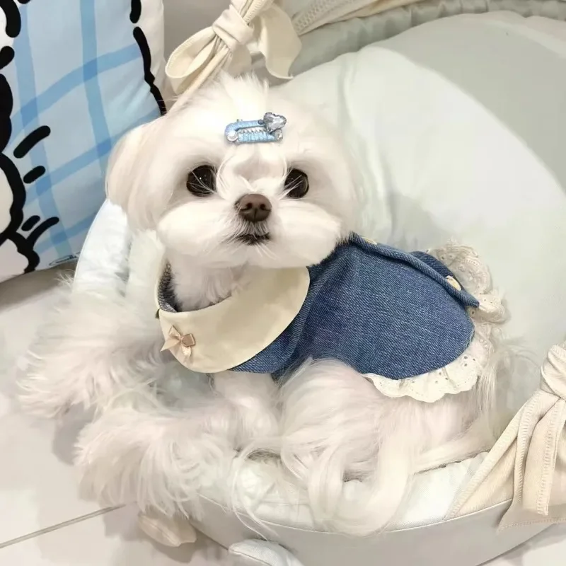 

Pet Cat Dog Sweet Skirt Summer Denim Flip Collar Embroidered Lace Skirt Dog Pet Clothing Maltese Puppy Clothes Dog Vest