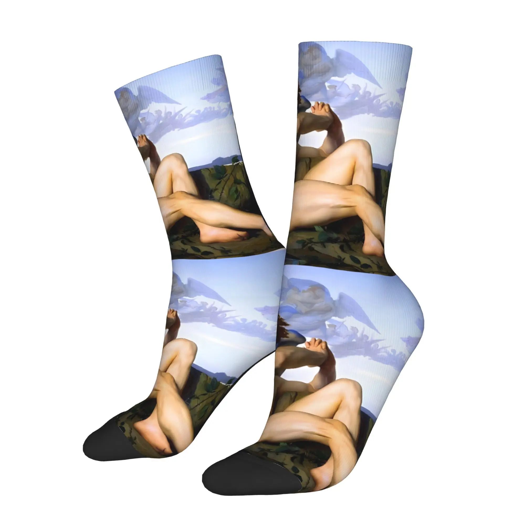 

Funny Men's Socks Alexandre Cabanel Fallen Angel Vintage Street Style Casual Crew Sock Gift Pattern Printed