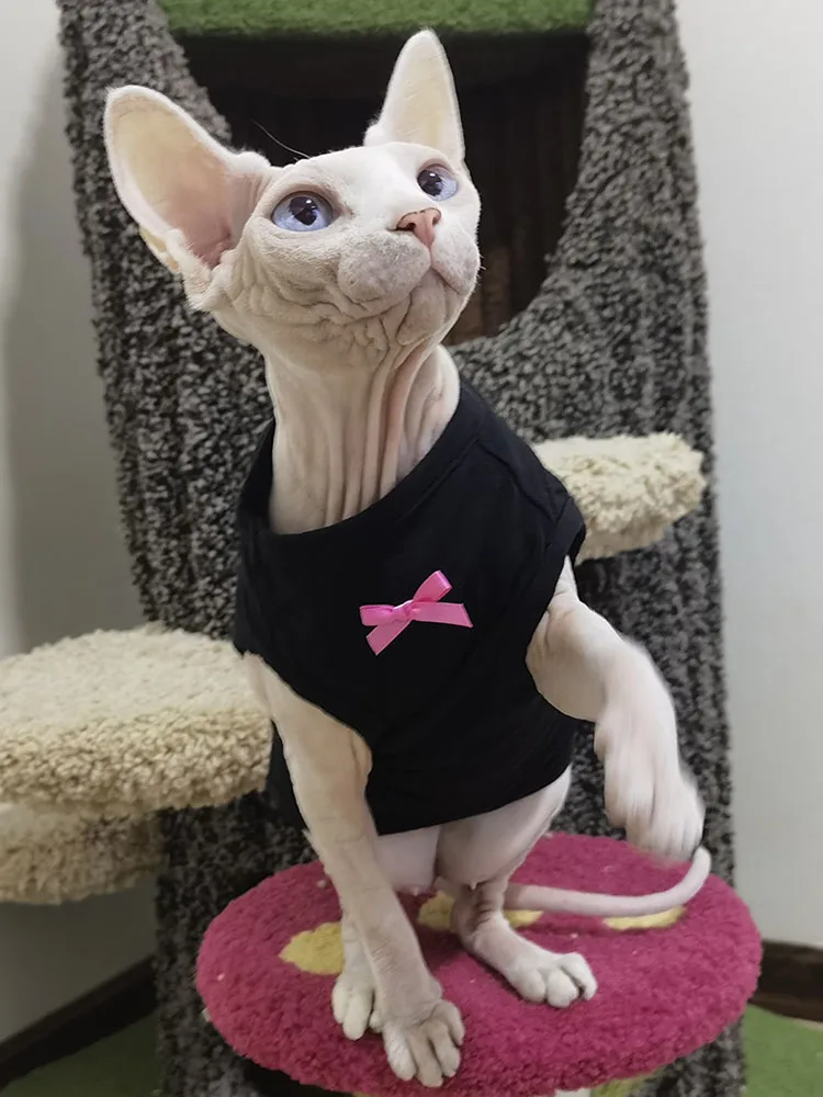 Sphynx Cat Dress with Bowtie in Summer Hairless Cat Clothes Soft Cotton Sweet Black Skirt for Devon Rex Shirt for Kittens