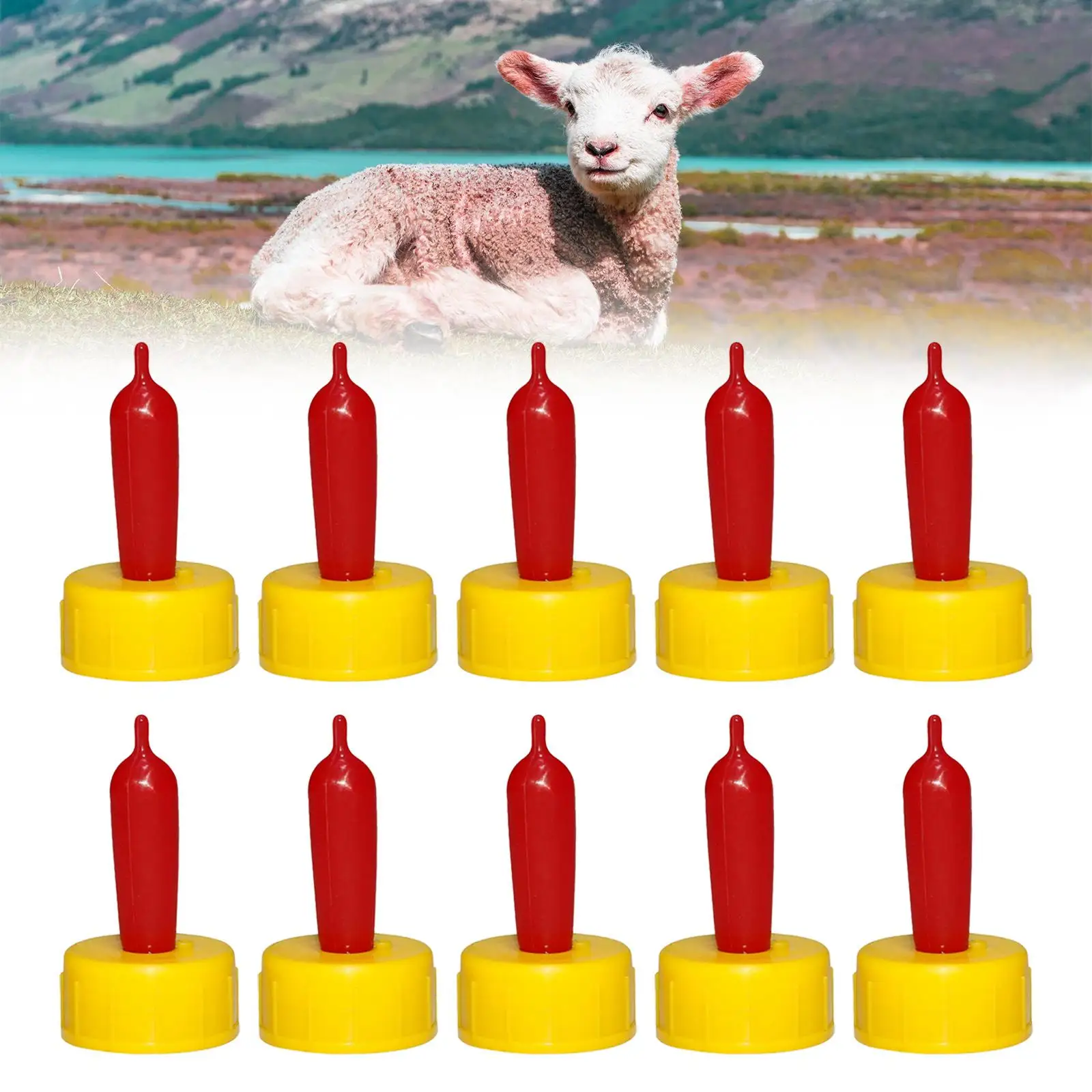 10-Pack Lamb Drink …