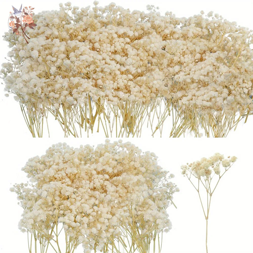 

Mini Dried Gypsophila Flower DIY Aromatherapy Candle Material Home Decor Eternal Flowers Baby Breath Embellish Gift 100pcs Boxed