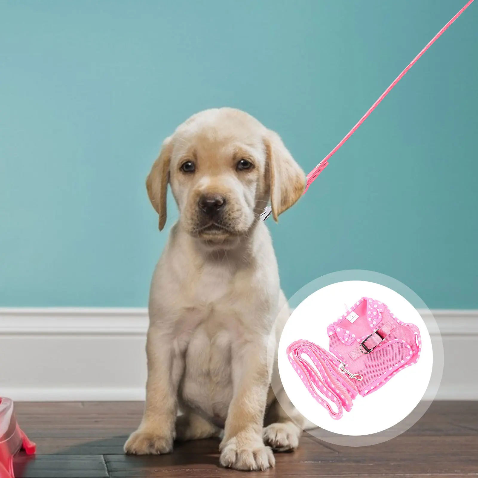 

1Set Durable Adjustable Pet Harness Dog Chest Strap Leash Outdoor Walking Cat Vest Pulling Rope Pet Gear Dog Leash