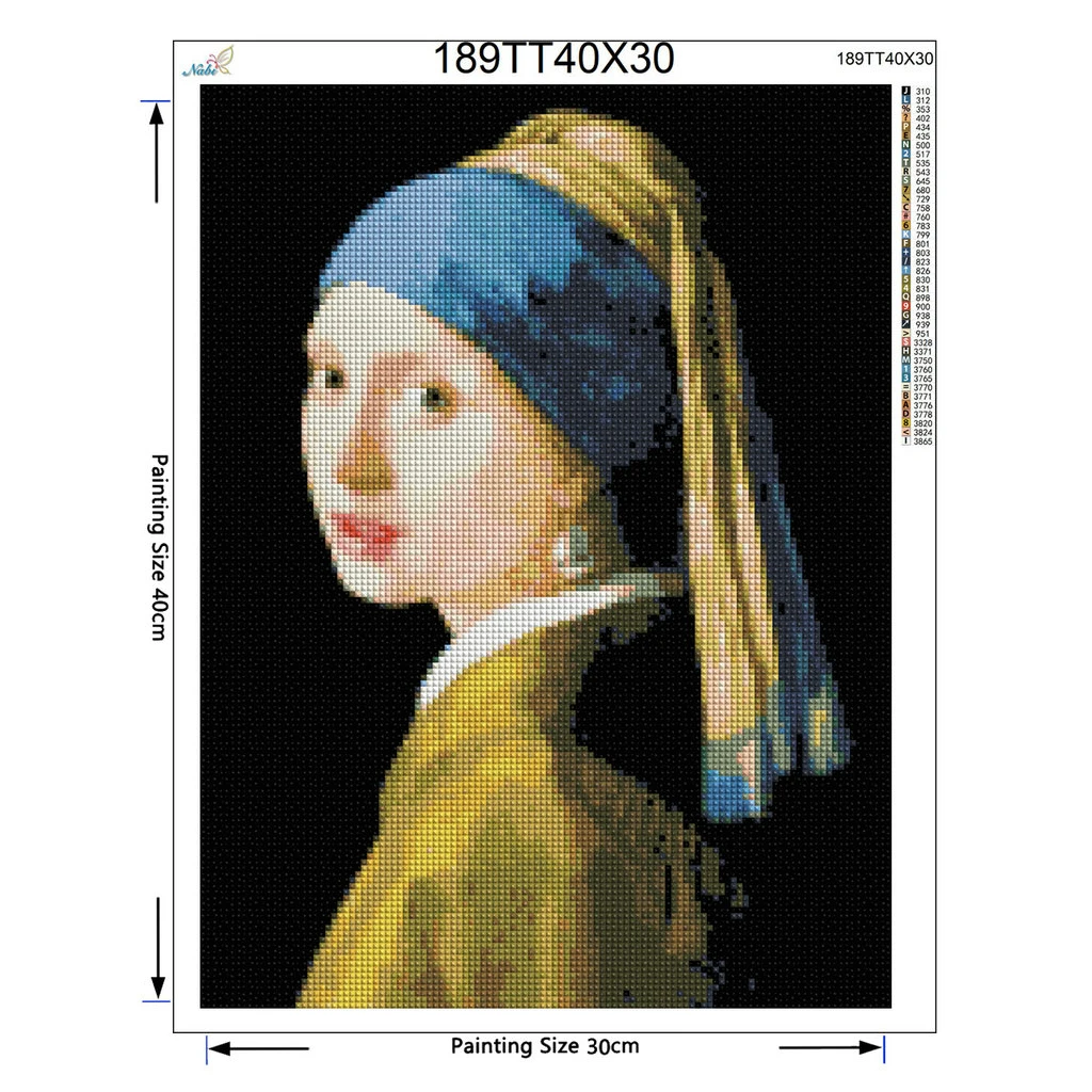 5D pittura diamante fai da te ritratto completo ricamo diamante vendita vermeer ragazza con collana di perle donna completa mosaico decorazione arte