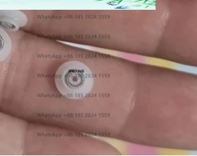 Germany Vermes Inje…