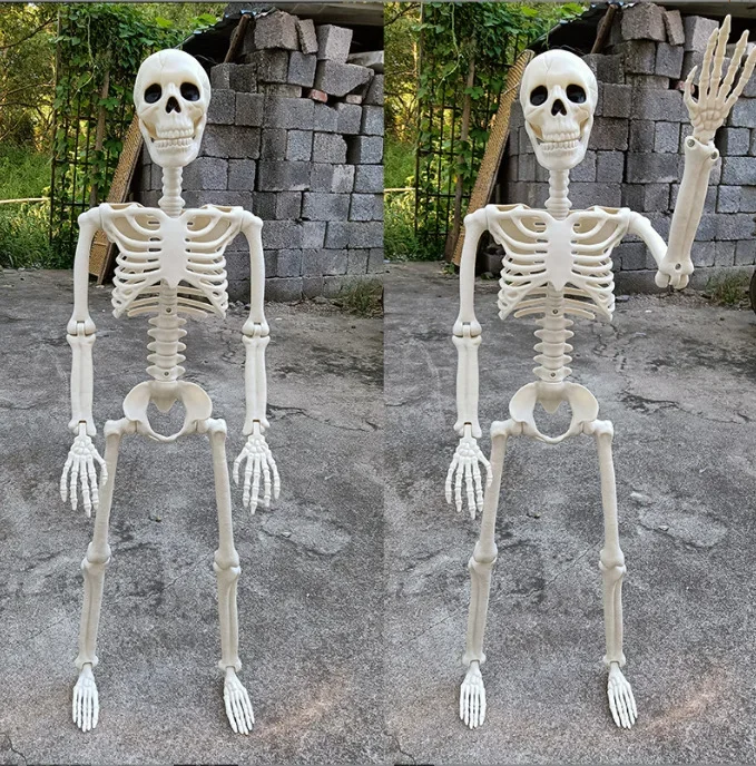 40CM Bewegliches Menschliches Skelett Halloween-Requisite Horror-Dekoration für Geisterhaus Gruselige Außendekoration – Detail 8