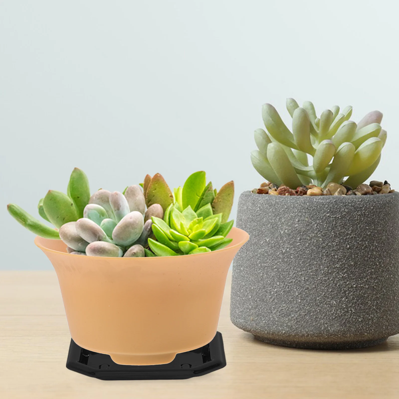 

50pcs Square Plant Saucer Mini Plastic Flower Pots Trays Water Dray Trays Flower Drip Tray Heavy Duty Water Catcher Trays for