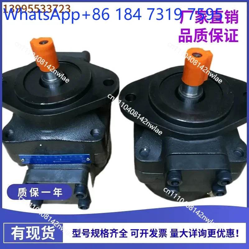 1 pcs Yuci Hydraulic PFE Series Pin Vane Pump PFE-31028-1DU T/V Oil Pump Quantitative