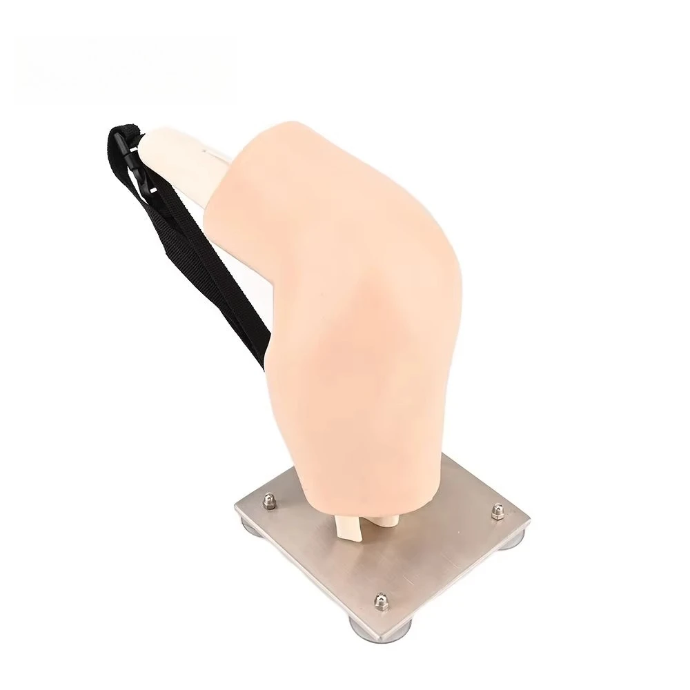 Model of Human Simulator Knee Model for Inspection and Training