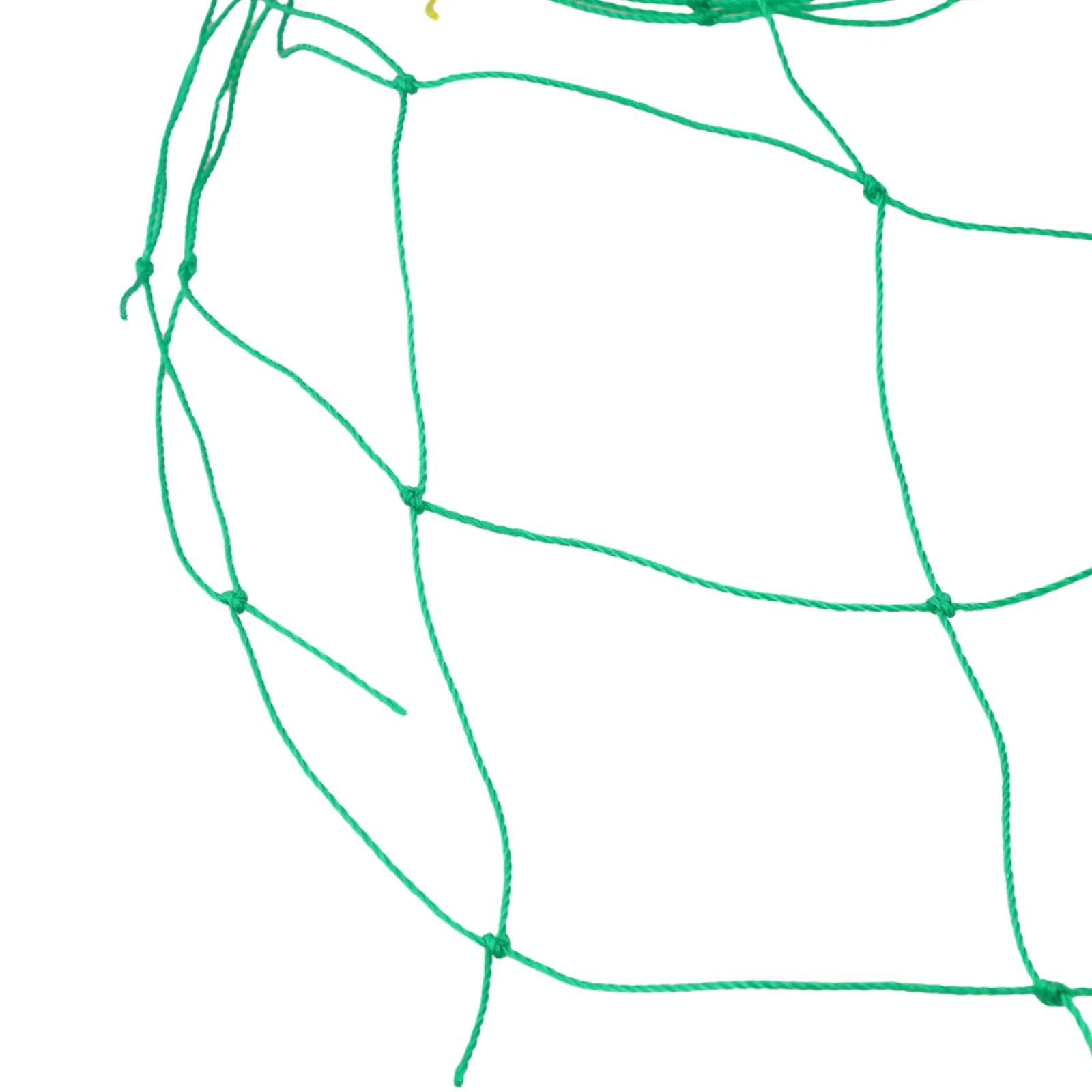 تعريشة شبكية للتسلق مصنوعة من البلاستيك لدعم نباتات الحدائق والخضروات مع حبل للنمو الرأسي الآمن #1