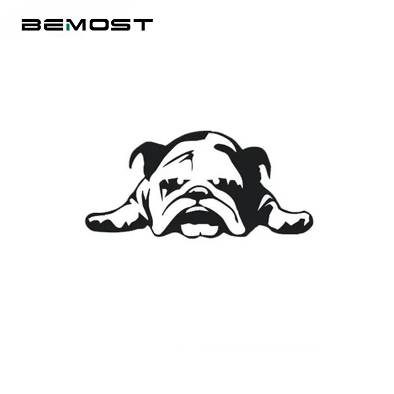 

BROSHOO 23*11cm English Bulldog Car Decal Accessories Styling Covers Wall Windows Automobiles Tail Car Stickers