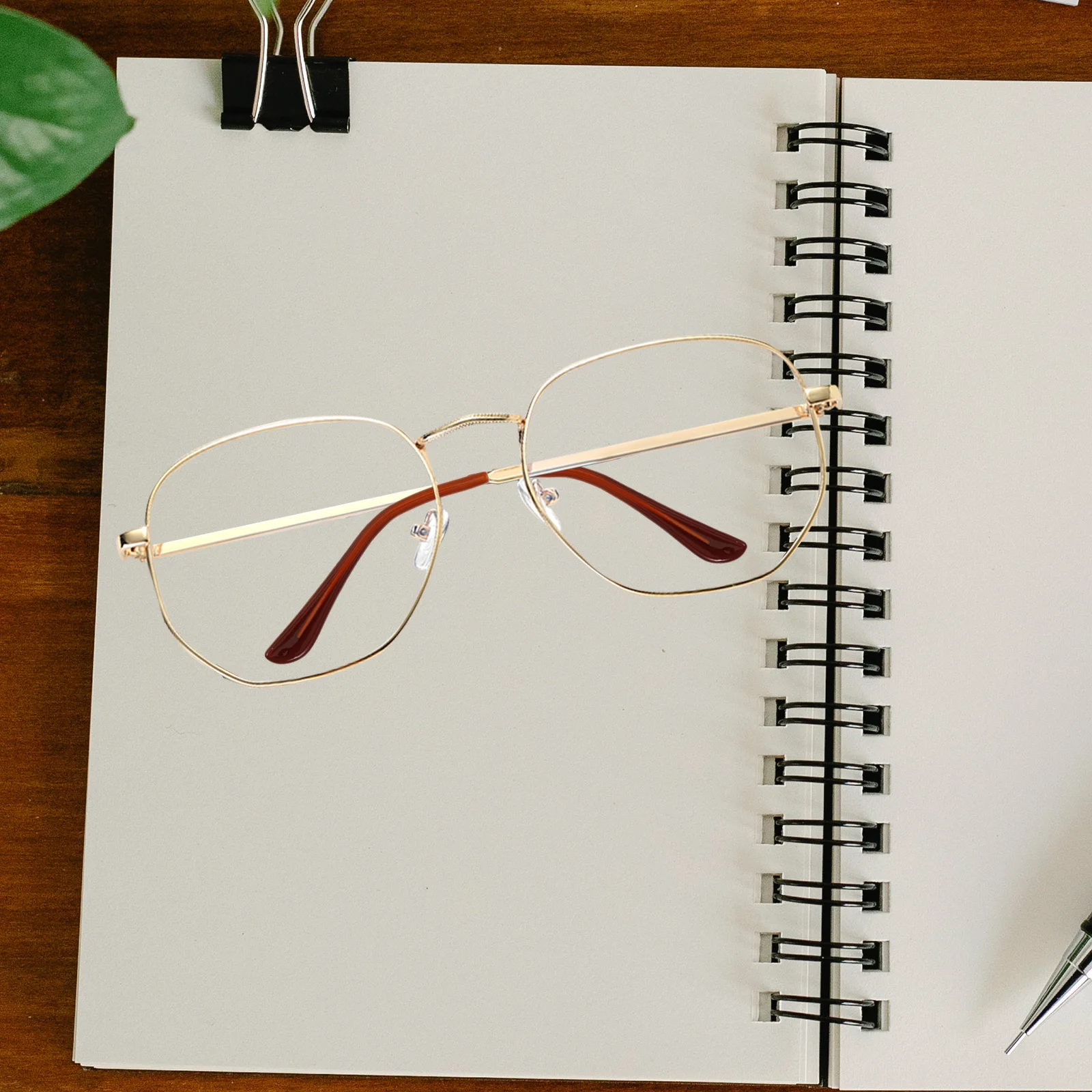 Рисунок 5 - Очки, зажимы для ушей