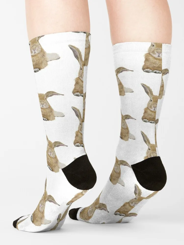 Inquisitive Bunny Socks Winter Socks Women