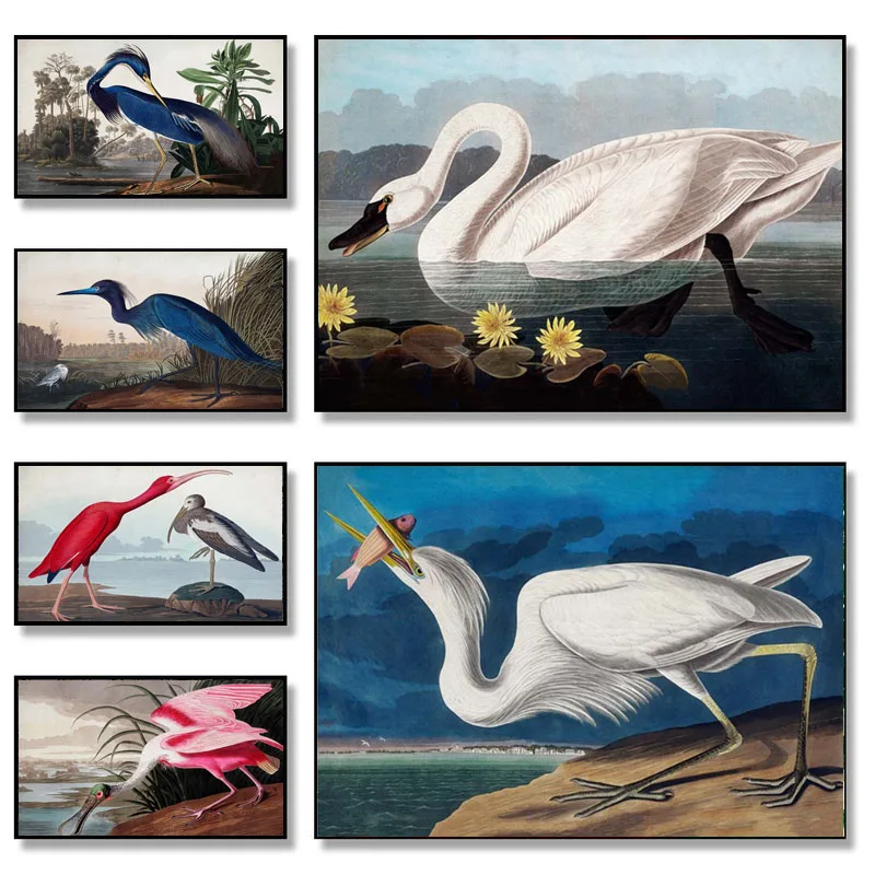 1PC--Vintage Bird Poster Canvas Painting Wall Art Picture  Heron Swan Roseate Spoonbill Posters Prints Living Office Room Hom