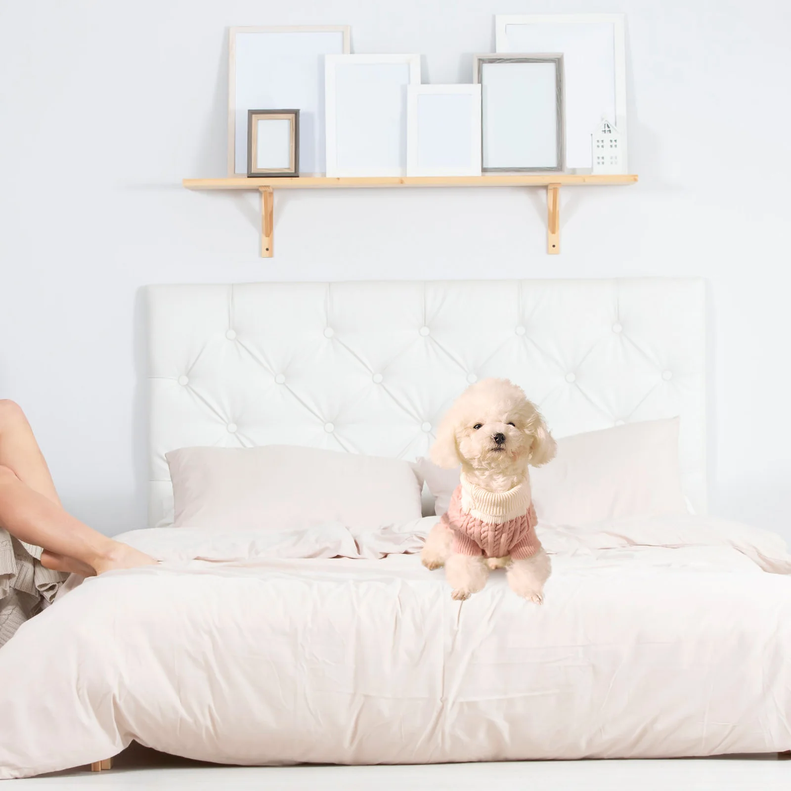 

1Pcs Pet Sweater Turtleneck Dog Winter Costume Comfortable Warm Small Puppy Apparel Unforgettable Photos Pet Sweater